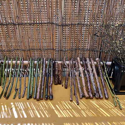 小堀宗以ォトエッセイ