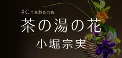 茶の湯の花　小堀宗実