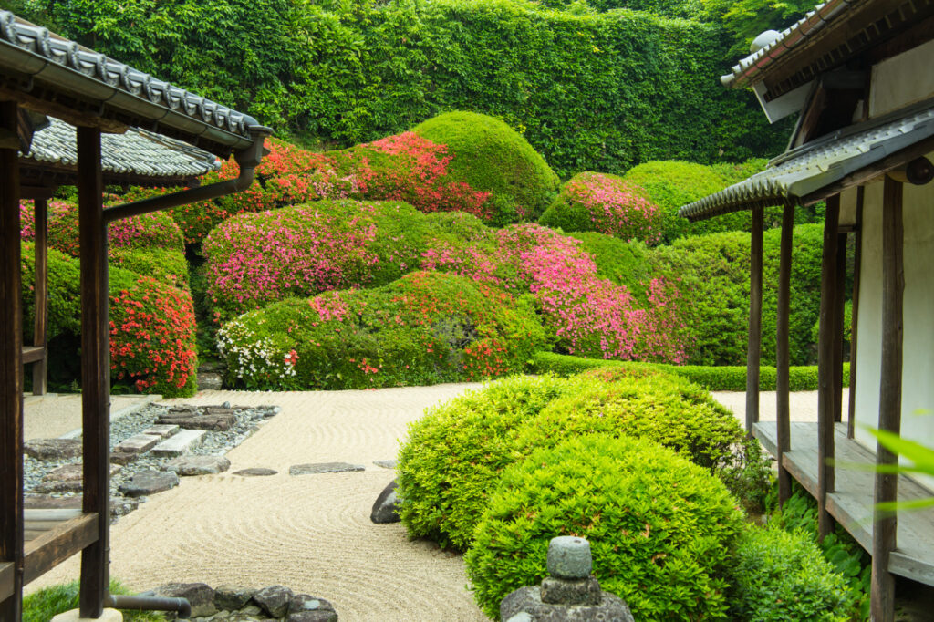 頼久寺　大刈込み