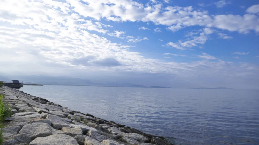 プライバシーポリシー