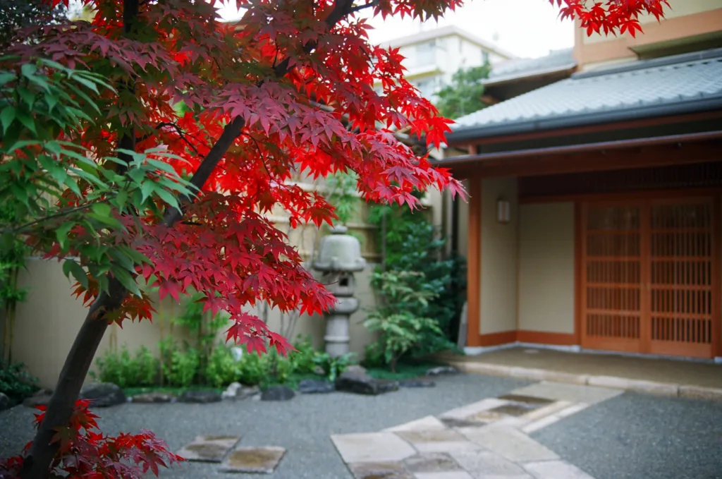 <ruby>宗家<rt>そうけ</rt></ruby>の活動